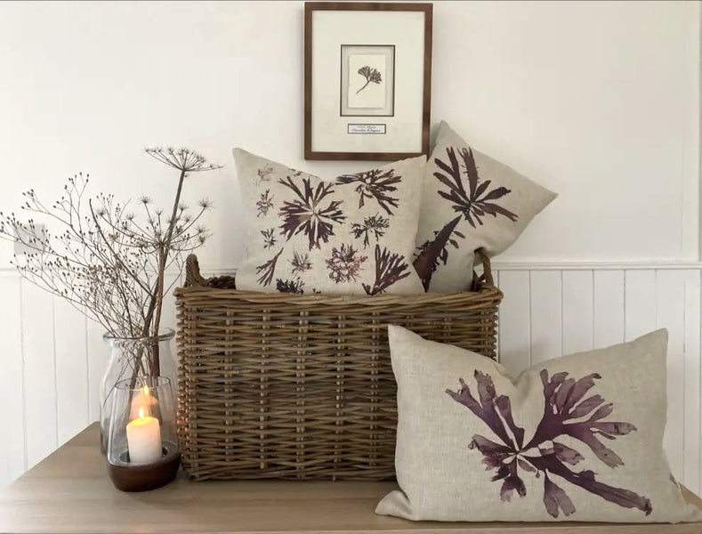 Nicola Weldon - Organic Irish Linen